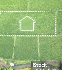 Tabpanel → Link (2)