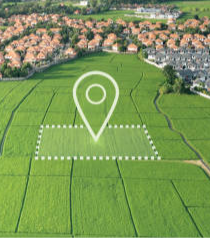 Tabpanel → Link (6)